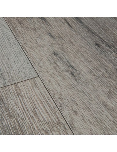 Quick Step - Dąb szary historyczny