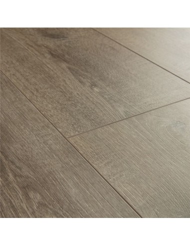 Quick Step - Dąb aksamitny brązowy