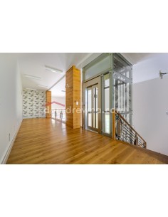 ParkietHajnówka - Dąb Traditional 2