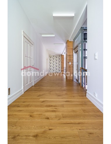 ParkietHajnówka - Dąb Traditional