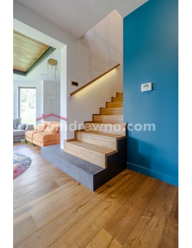 Schody dywanowe - galeria 29