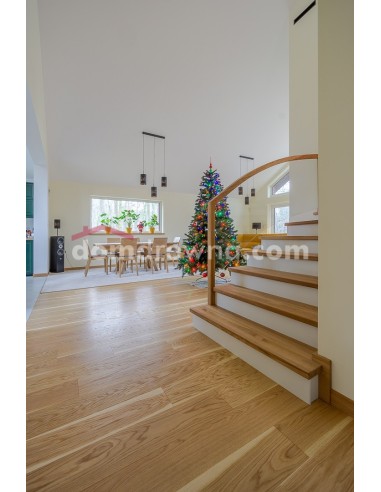 Gajewski - Deska Dąb GESTREJFT