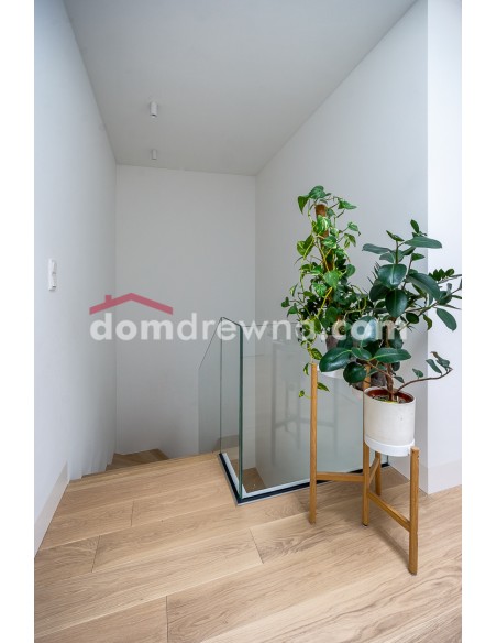 Schody dywanowe - galeria 46