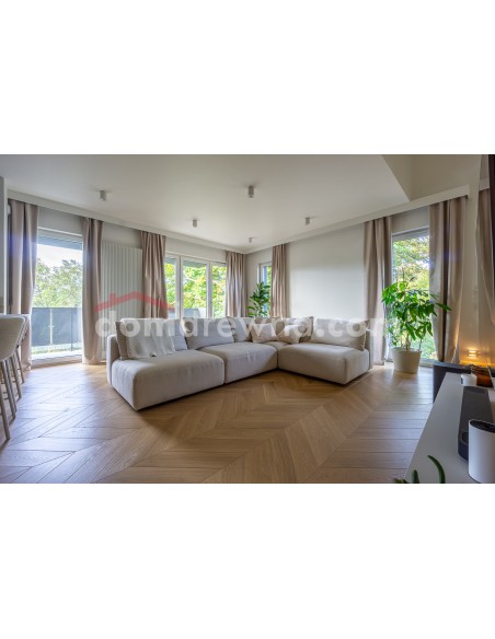 Parkiet Hajnówka Jodełka Francuska - Dąb Ramia