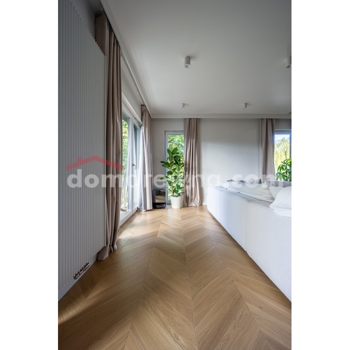 Parkiet Hajnówka Jodełka Francuska -...