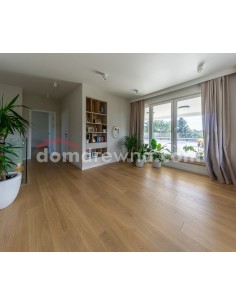 Parkiet Hajnówka Deska - Dąb Ramia