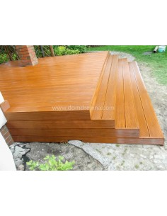 Taras - Modrzew Syberyjski 2