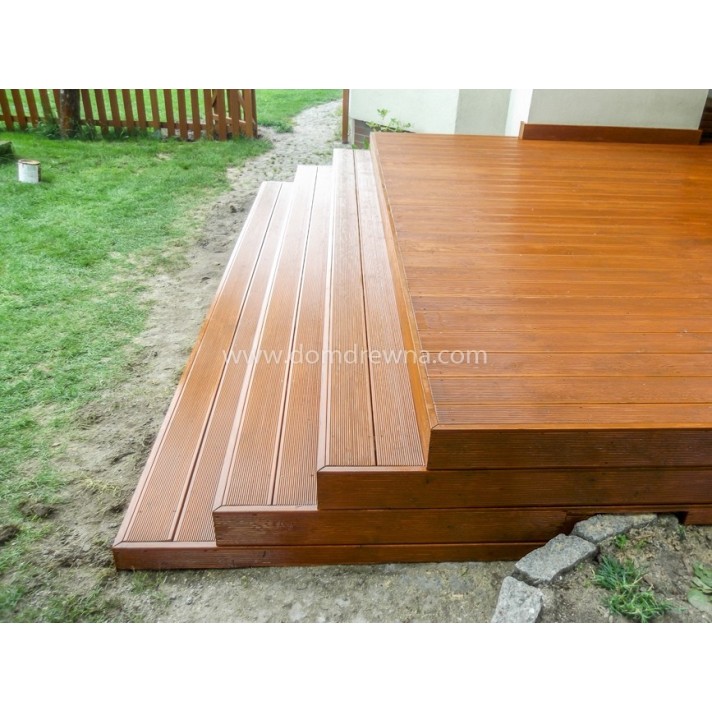 Taras - Modrzew Syberyjski