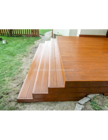 Taras - Modrzew Syberyjski