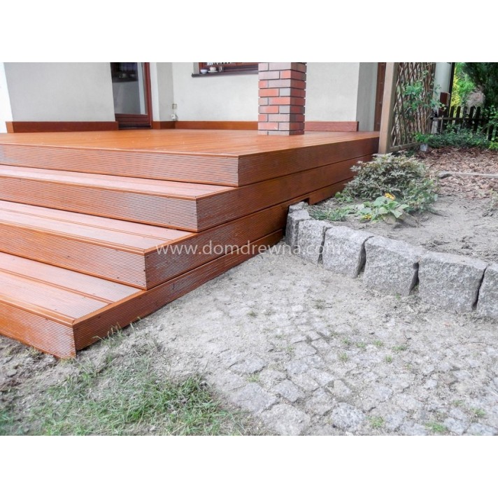 Taras - Modrzew Syberyjski