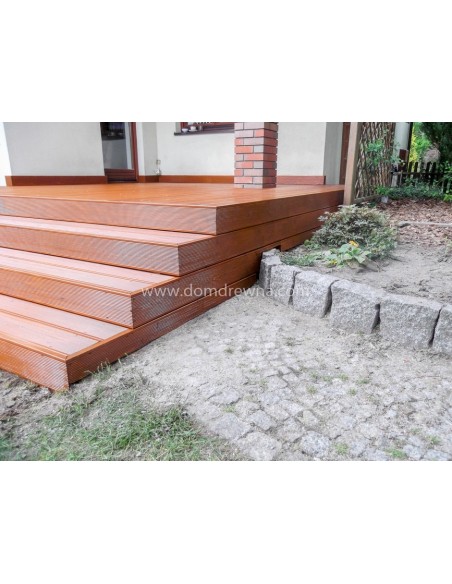 Taras - Modrzew Syberyjski