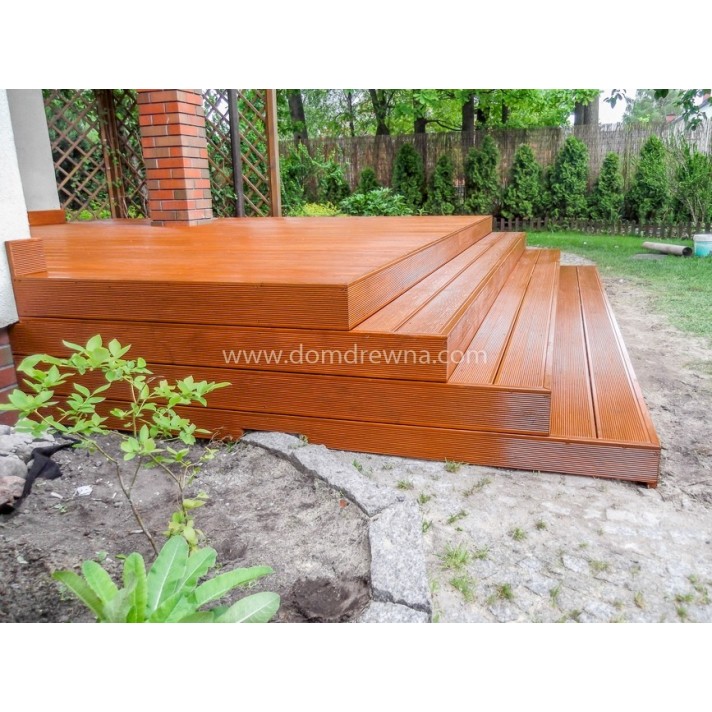 Taras - Modrzew Syberyjski