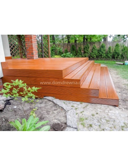 Taras - Modrzew Syberyjski