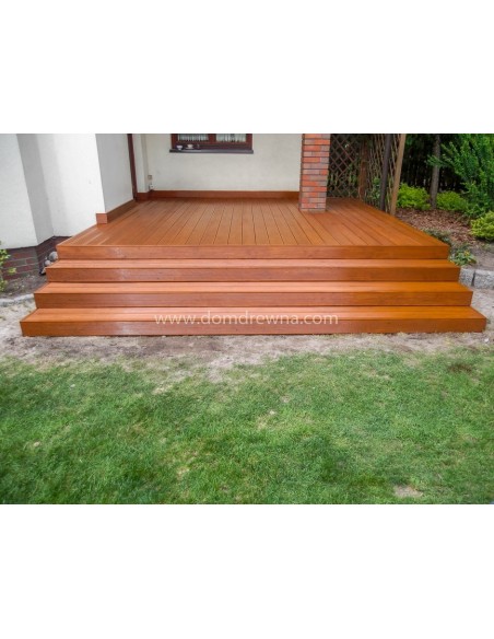 Taras - Modrzew Syberyjski