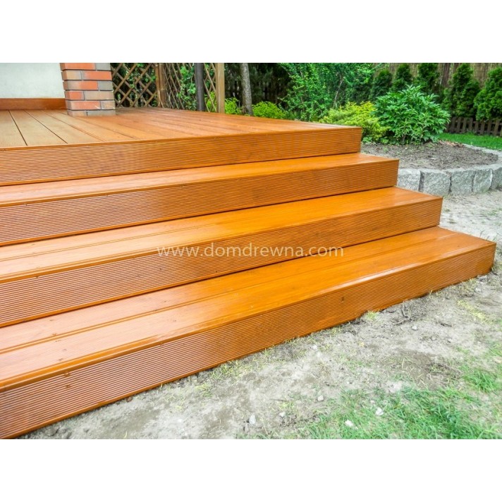 Taras - Modrzew Syberyjski