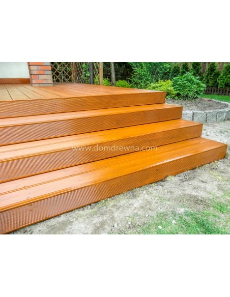 Taras - Modrzew Syberyjski