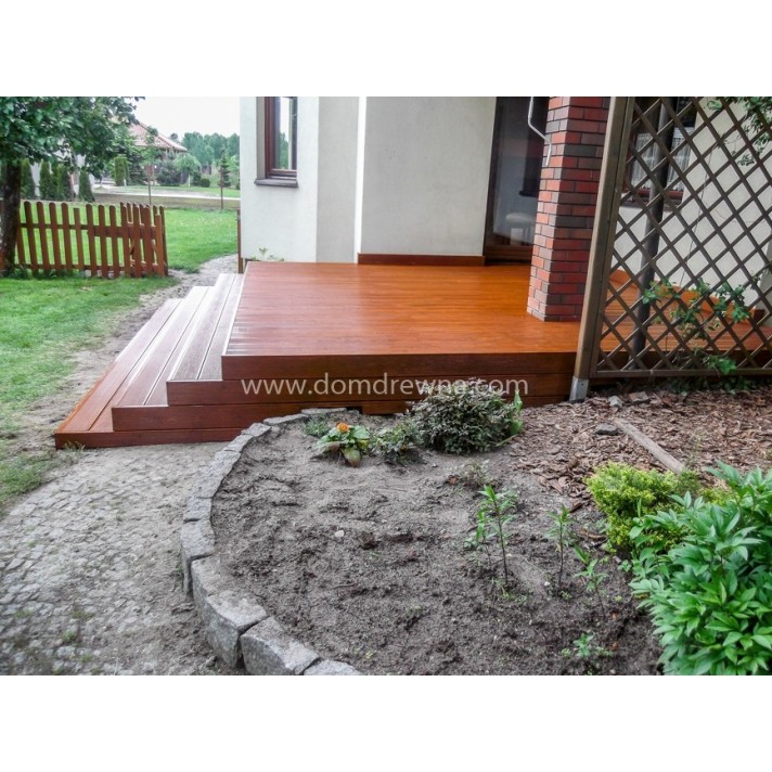 Taras - Modrzew Syberyjski