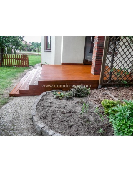 Taras - Modrzew Syberyjski