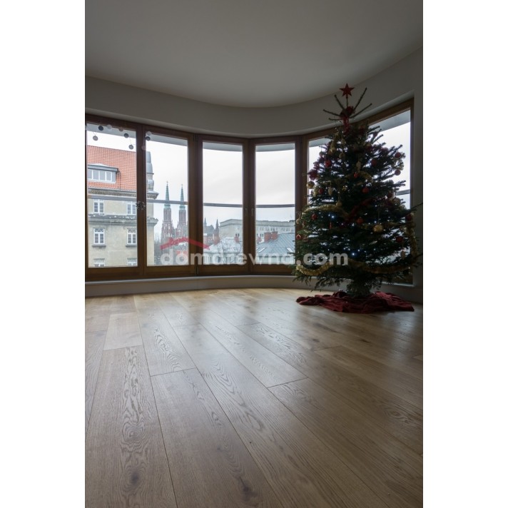 ParkietHajnówka - Dąb Classic R