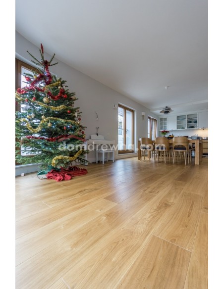 ParkietHajnówka - Dąb Classic R