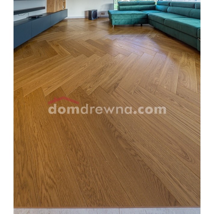 Jodełka dąb Traditional