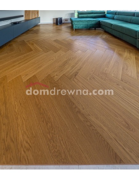 Jodełka dąb Traditional