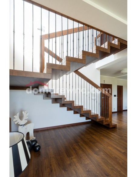 Schody dywanowe - galeria 5