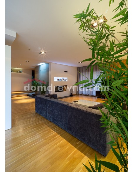 Parkiet z bielą, ściana z parkietu