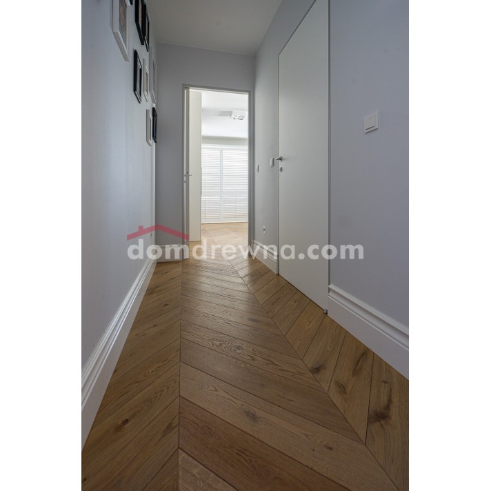 ParkietHajnówka - Latte R