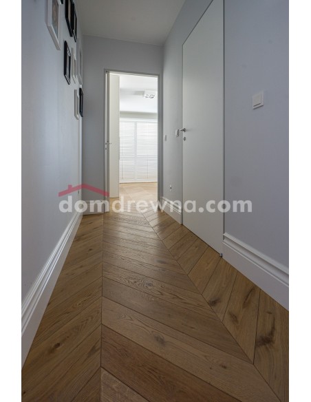 ParkietHajnówka - Latte R