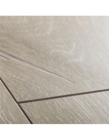 Quick Step - Dąb szary dominicano