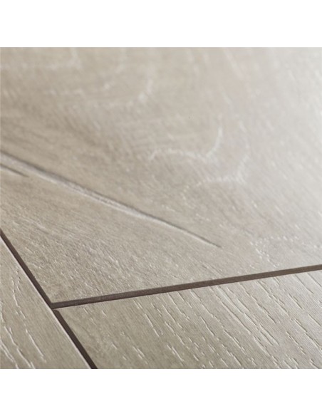 Quick Step - Dąb szary dominicano