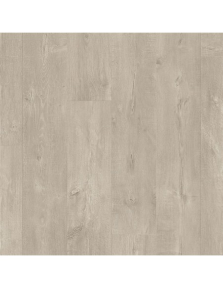 Quick Step - Dąb szary dominicano