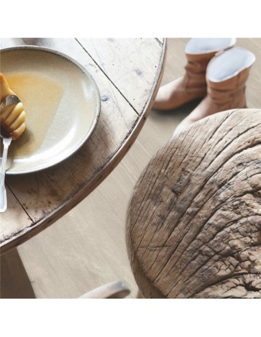 Quick Step - Dąb szary dominicano