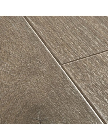 Quick Step - Dąb leśny brązowy