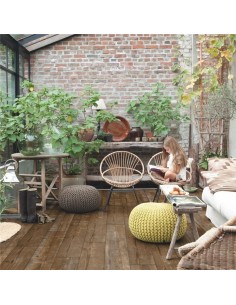 Quick Step - Sosna zachód słońca 2