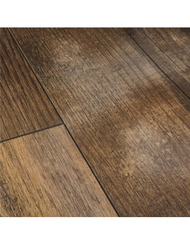 Quick Step - Sosna zachód słońca