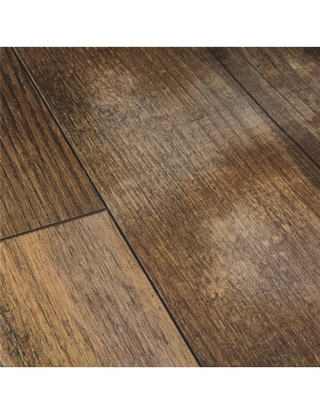 Quick Step - Sosna zachód słońca