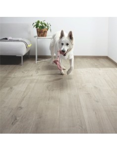 Quick Step - Dąb bawełniany ciepłoszary 2
