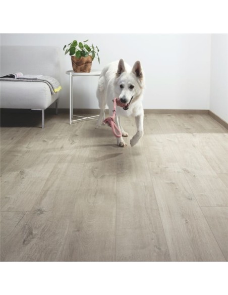 Quick Step - Dąb bawełniany ciepłoszary