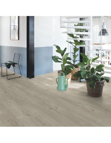 Quick Step - Dąb bawełniany ciepłoszary