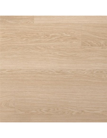 Quick Step - Dąb rumiany