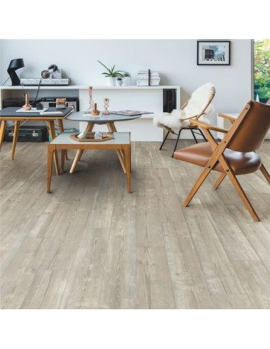 Quick Step - Sosna poranna mgła