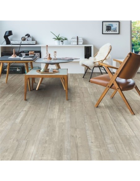 Quick Step - Sosna poranna mgła