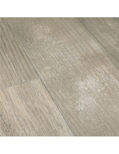 Quick Step - Sosna poranna mgła