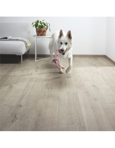 Quick Step - Dąb bawełniany ciepłoszary