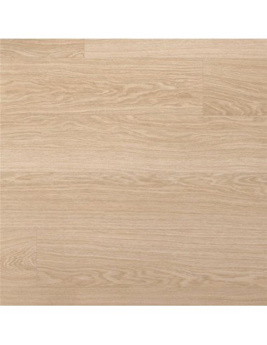 Quick Step - Dąb rumiany