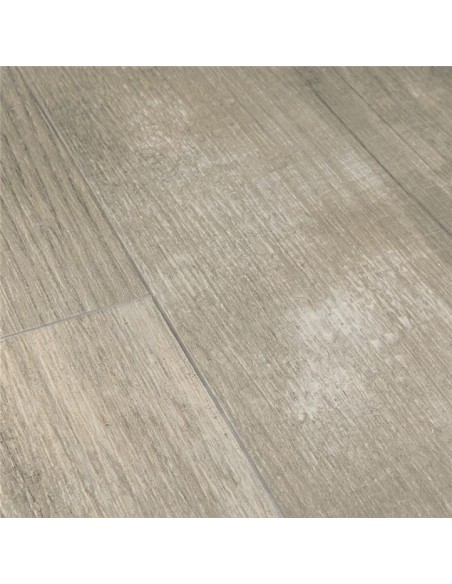 Quick Step - Sosna poranna mgła