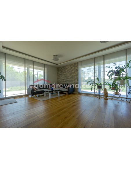 ParkietHajnówka - Dąb Classic R