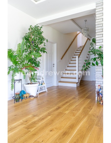 ParkietHajnówka - Dąb Classic R